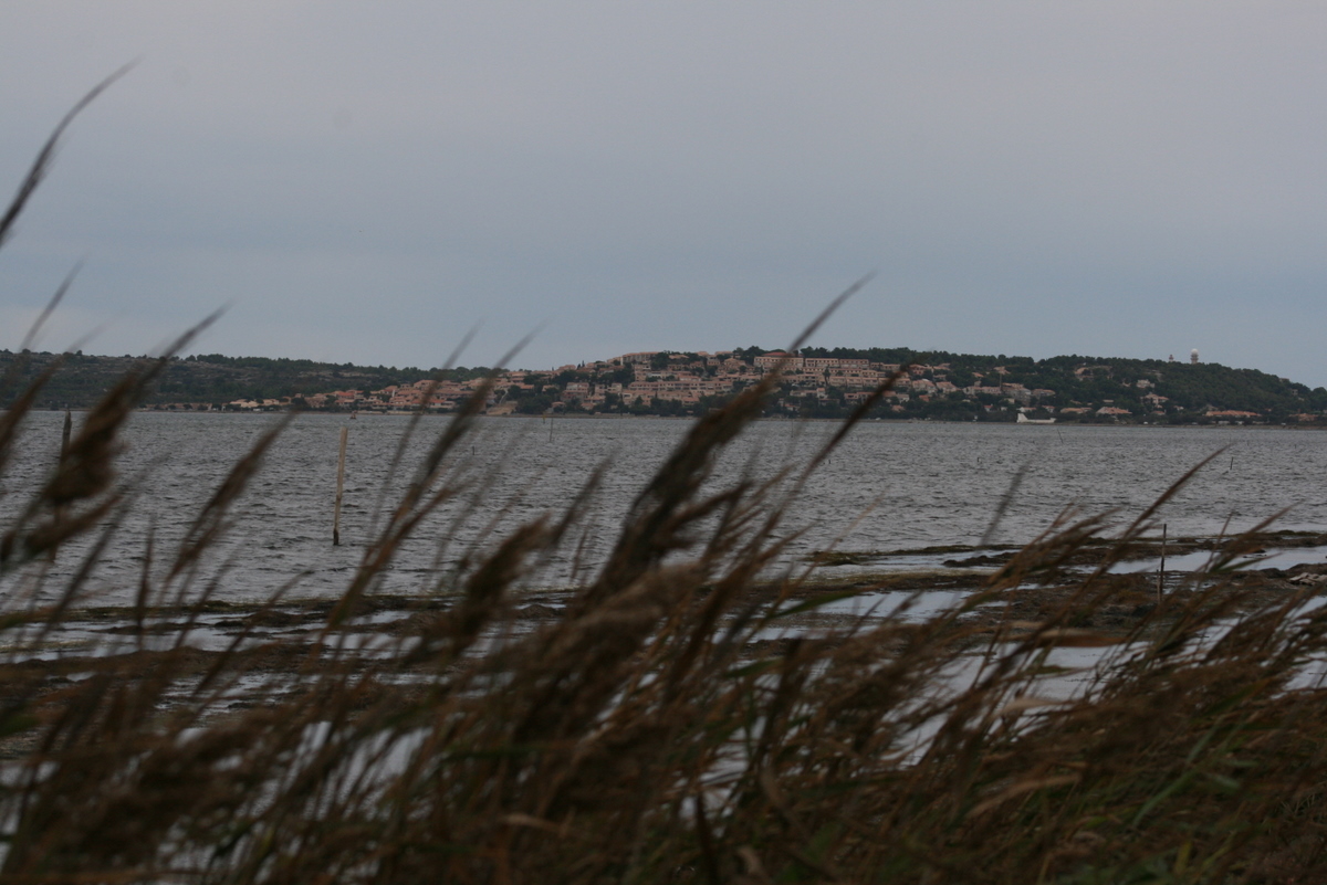 Etang de Leucate