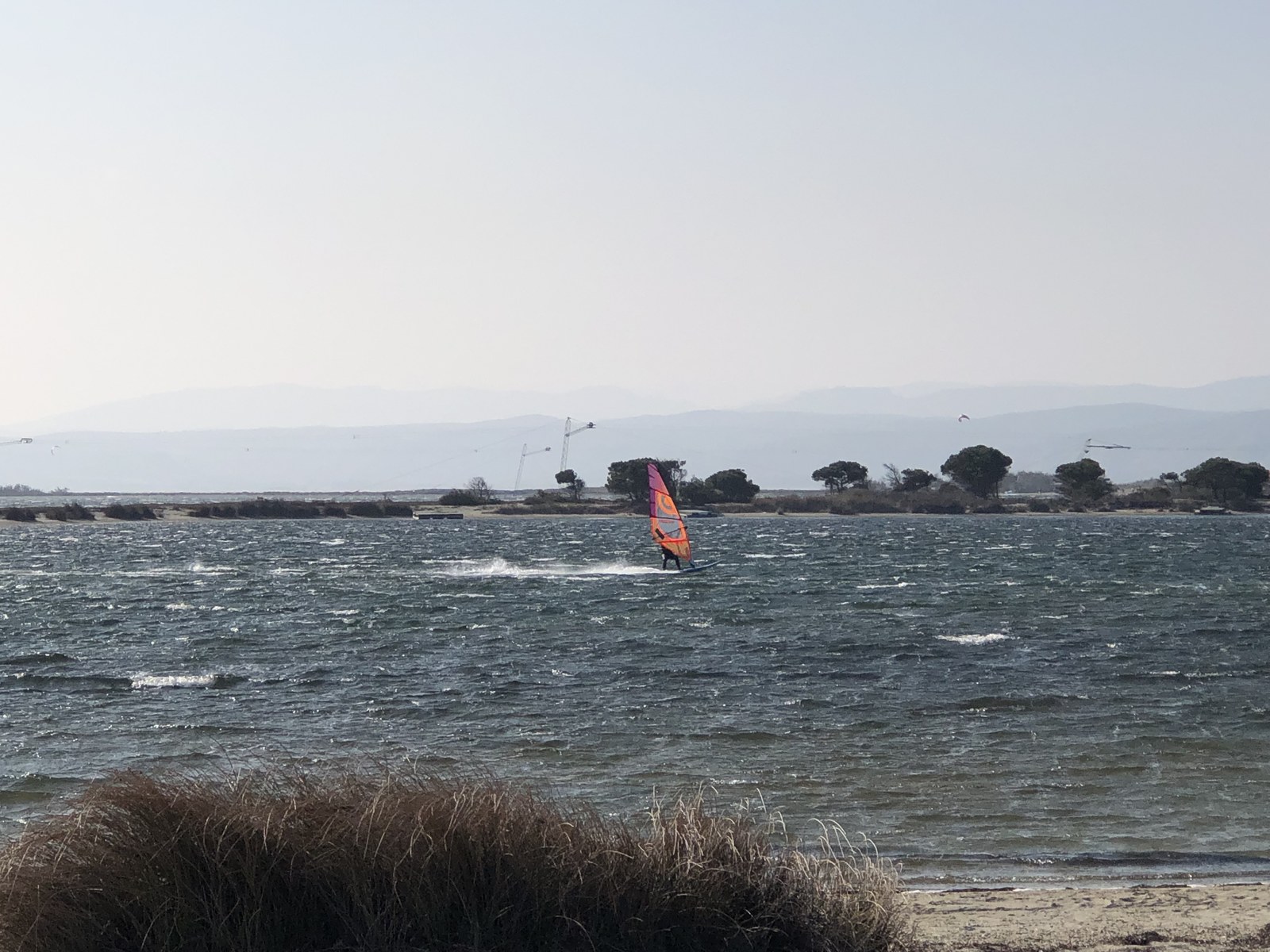 Etang de Leucate