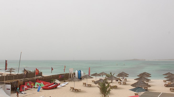 Webcam Tortuga